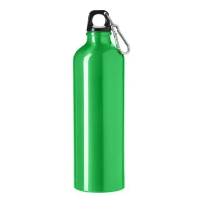 Alu Trinkflasche grün